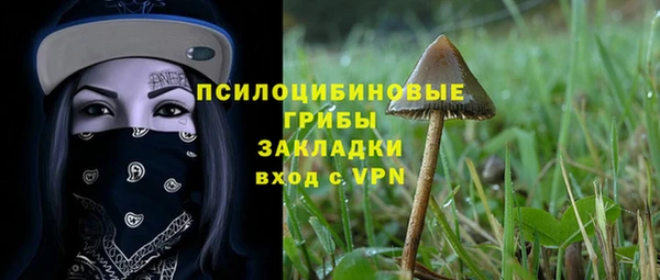 прущая мука Армянск